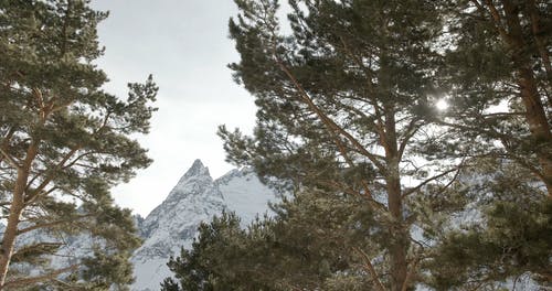 有关下雪的天气, 冬季, 冷的免费素材视频