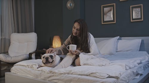 有关卧室室内, 家, 宠物的免费素材视频