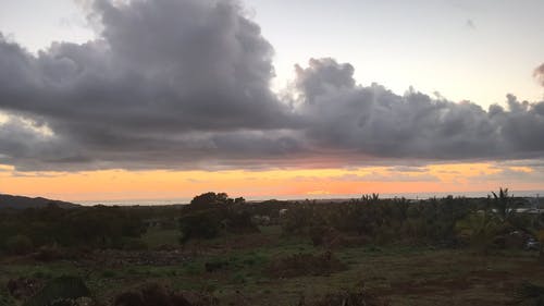 有关优美的风景, 农业用地, 农业领域的免费素材视频