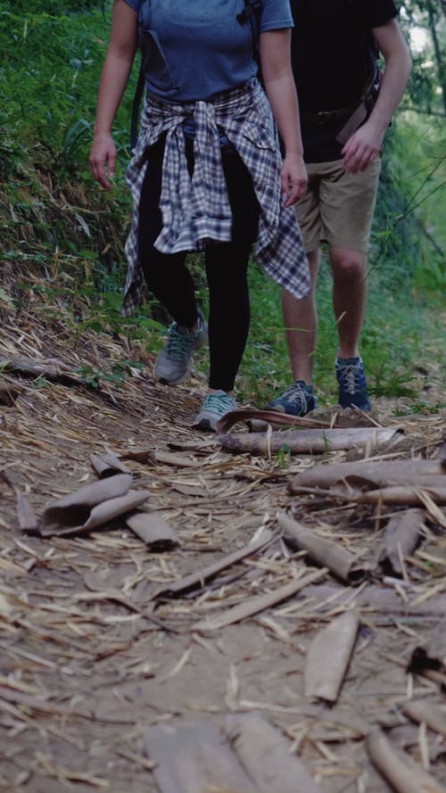 有关人, 垂直视频, 天性的免费素材视频