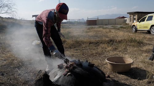 有关人, 可口的, 天性的免费素材视频