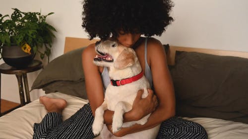 一个女人拥抱和抚摸她的狗 · 免费素材视频