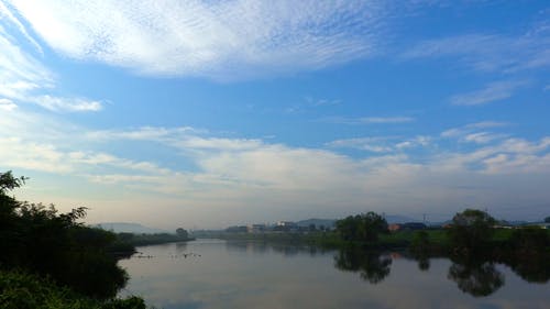 有关天空, 时间流逝, 树木的免费素材视频