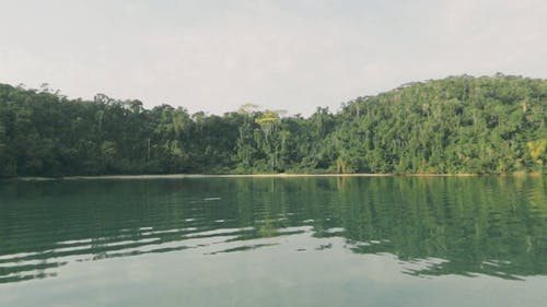 有关和平的, 天性, 安静的免费素材视频