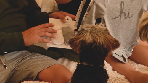 有关一对, 女人, 婴儿服装的免费素材视频