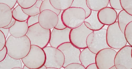 有关Flatlay, 圈圈, 图案的免费素材视频