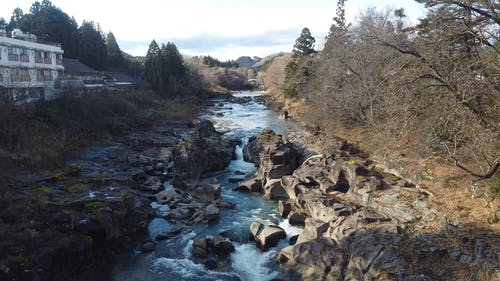 有关假期, 原本, 夏天的免费素材视频