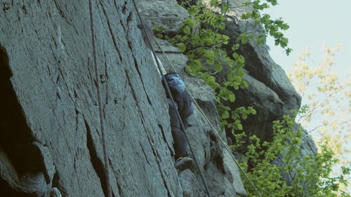 有关从下面看, 冒险, 女人的免费素材视频