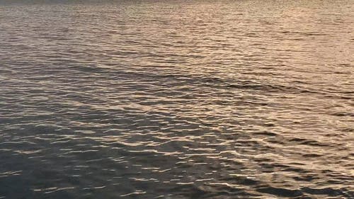 有关城市背景, 多云的天空, 平静的水面的免费素材视频