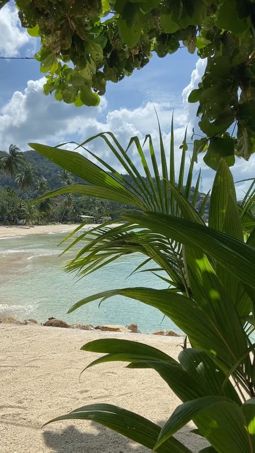 有关垂直视频, 天性, 天空的免费素材视频