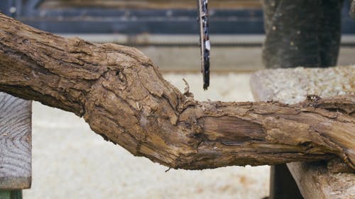 有关切割, 原本, 慢动作的免费素材视频