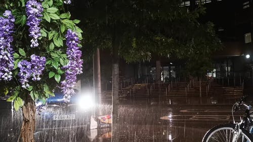 有关下雨, 倾盆大雨, 城市的免费素材视频