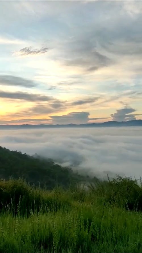 有关人们在说话, 全景, 和平的的免费素材视频