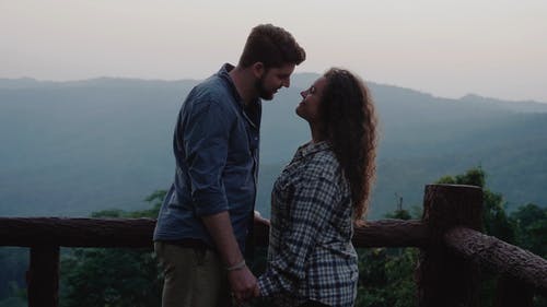 有关一对, 夥伴, 天性的免费素材视频