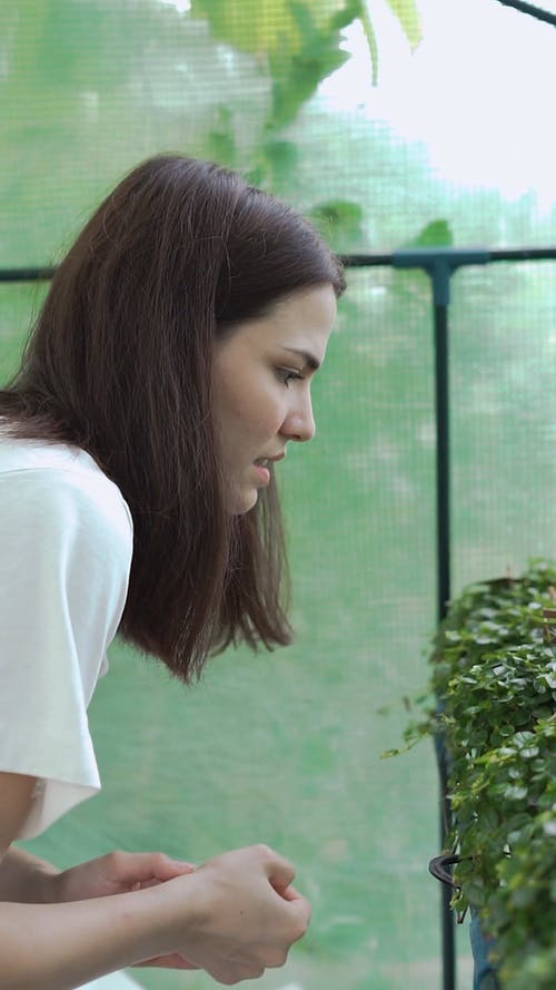 有关修剪花草, 咖啡色头发的女人, 垂直视频的免费素材视频