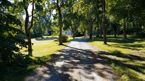 有关和平的, 天性, 安静的免费素材视频