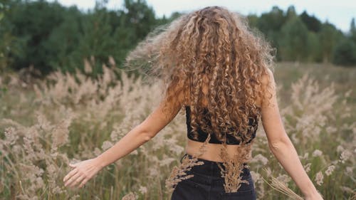 有关全景, 多风, 天空的免费素材视频