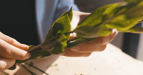 有关去除, 干, 手的免费素材视频