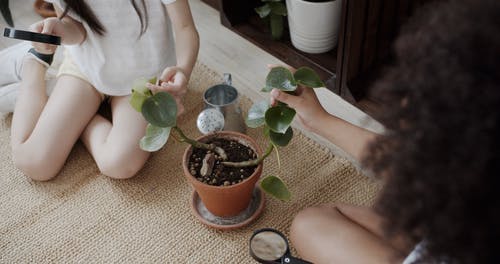 有关在地上, 坐, 室内的免费素材视频