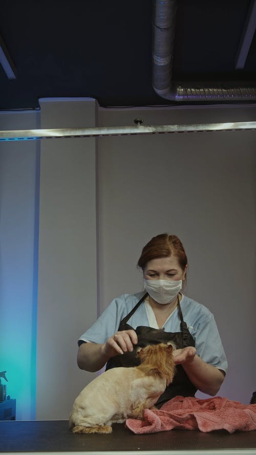 有关人, 可爱, 可爱的的免费素材视频