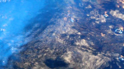 有关天性, 水, 水波的免费素材视频