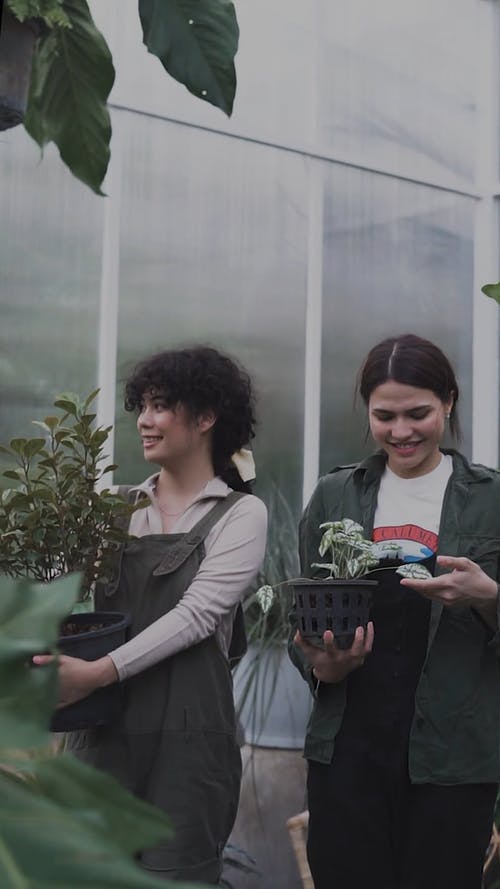 有关修剪花草, 嗜好, 垂直视频的免费素材视频