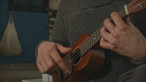 有关人, 假日季节, 唱歌的免费素材视频