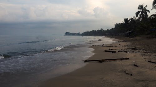 有关印尼, 天性, 天气好的免费素材视频