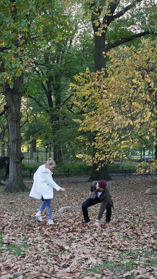 有关一对, 垂直视频, 季节的免费素材视频