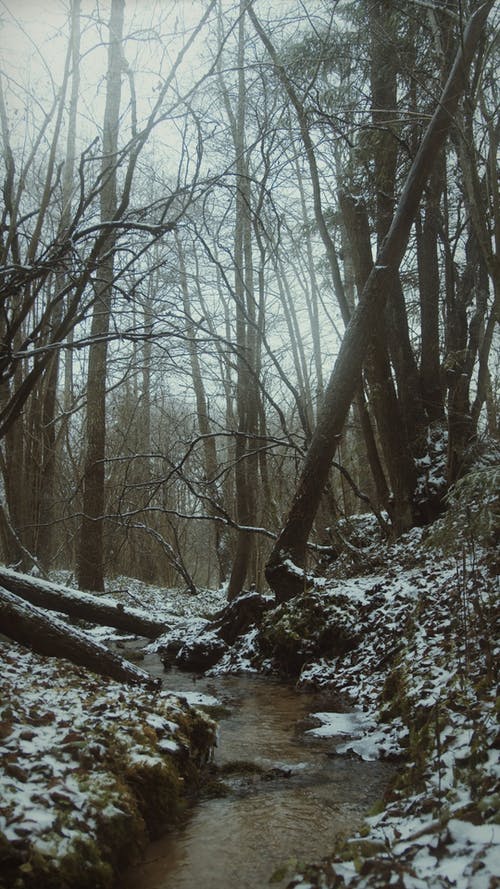 有关休闲, 伪装, 冒险的免费素材视频