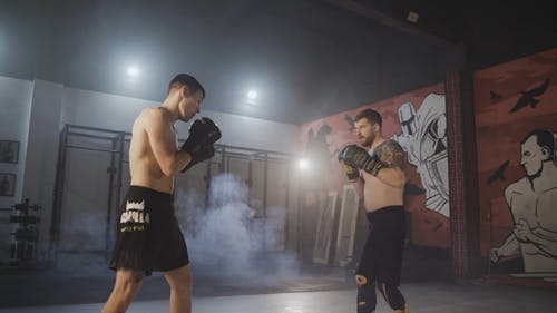 有关mma, 垂直视频, 实践的免费素材视频