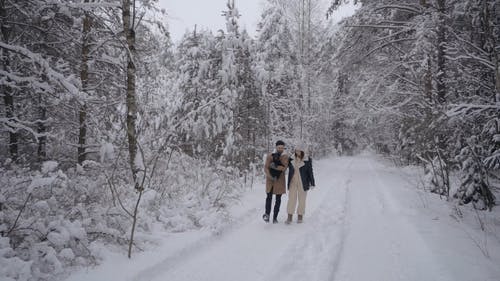 有关一对, 下雪, 享受的免费素材视频