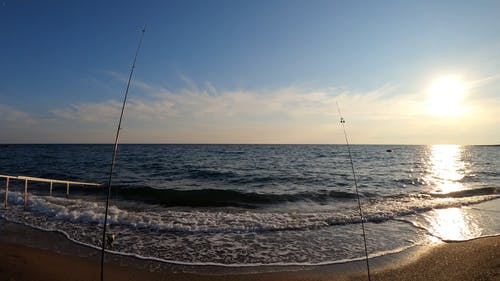 有关假日, 假期, 和平的的免费素材视频