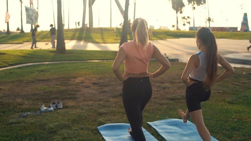 有关一起, 健身, 公园的免费素材视频