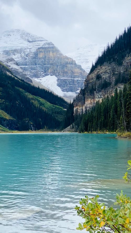 有关垂直视频, 壮观, 天性的免费素材视频