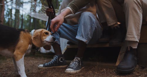 有关glamping, 一起, 交际的免费素材视频