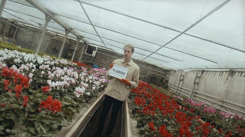 有关人, 修剪花草, 园丁的免费素材视频