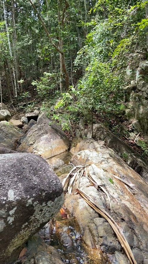 有关koh phangan, 动态射击, 垂直视频的免费素材视频