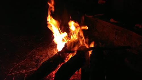 有关原本, 火, 火焰的免费素材视频
