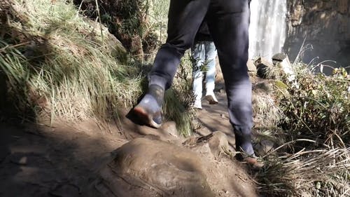 有关冒险, 丛林, 天性的免费素材视频