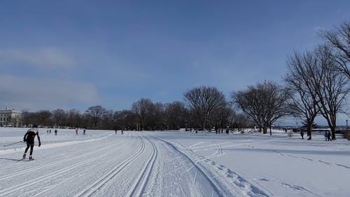 有关下雪的天气, 冬季, 冷的免费素材视频