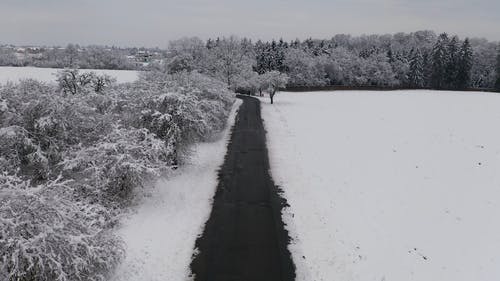 有关下雪的, 冬季, 冬季景观的免费素材视频