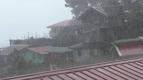 有关下雨, 多雨的, 天性的免费素材视频