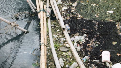 有关倾斜射击, 垃圾, 塑料瓶的免费素材视频