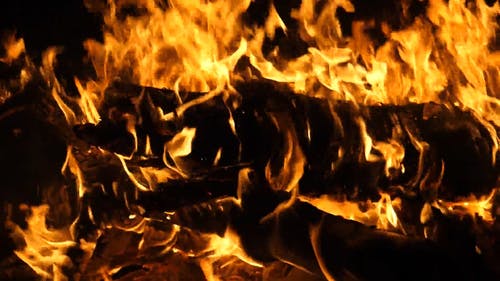 有关升火的木柴, 原本, 大火的免费素材视频