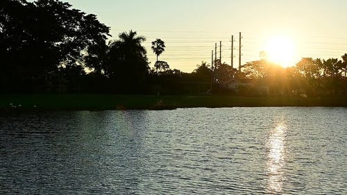 有关反射, 天性, 天空的免费素材视频