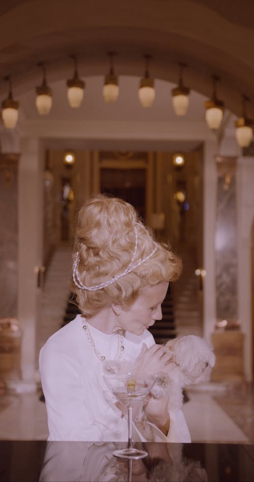 有关优雅, 参考, 喝的免费素材视频