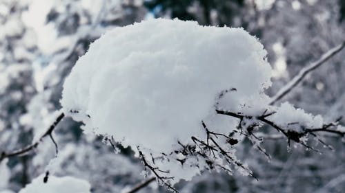 有关下雪的, 冬季, 冷的免费素材视频