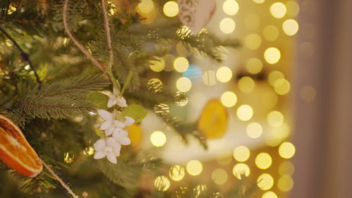 圣诞树装饰用的想象力物品 · 免费素材视频
