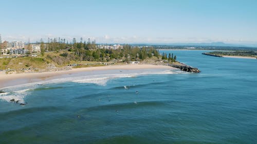 有关4k视频, 天性, 户外的免费素材视频